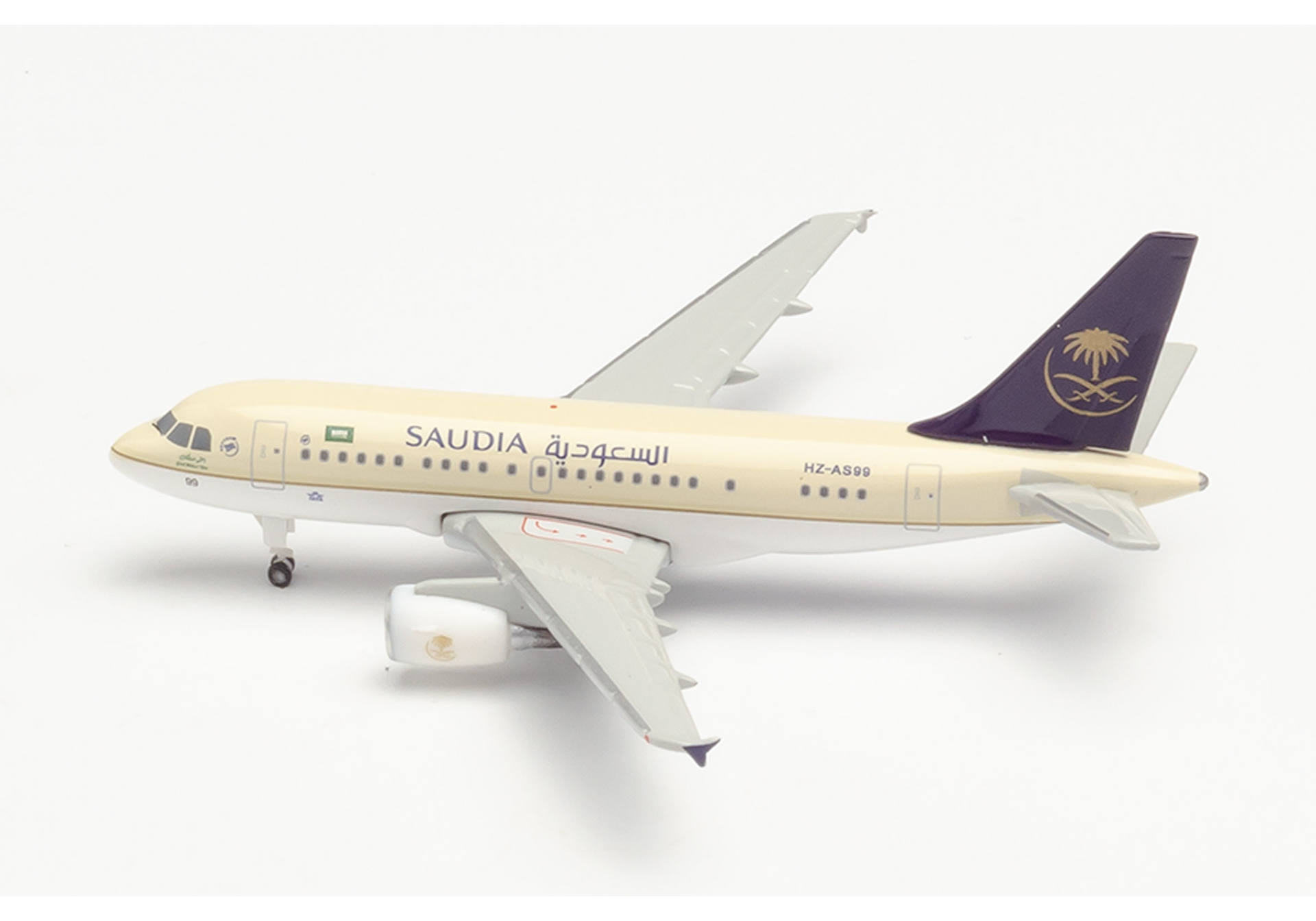 Saudia Royal Flight Airbus A318 – HZ-AS99