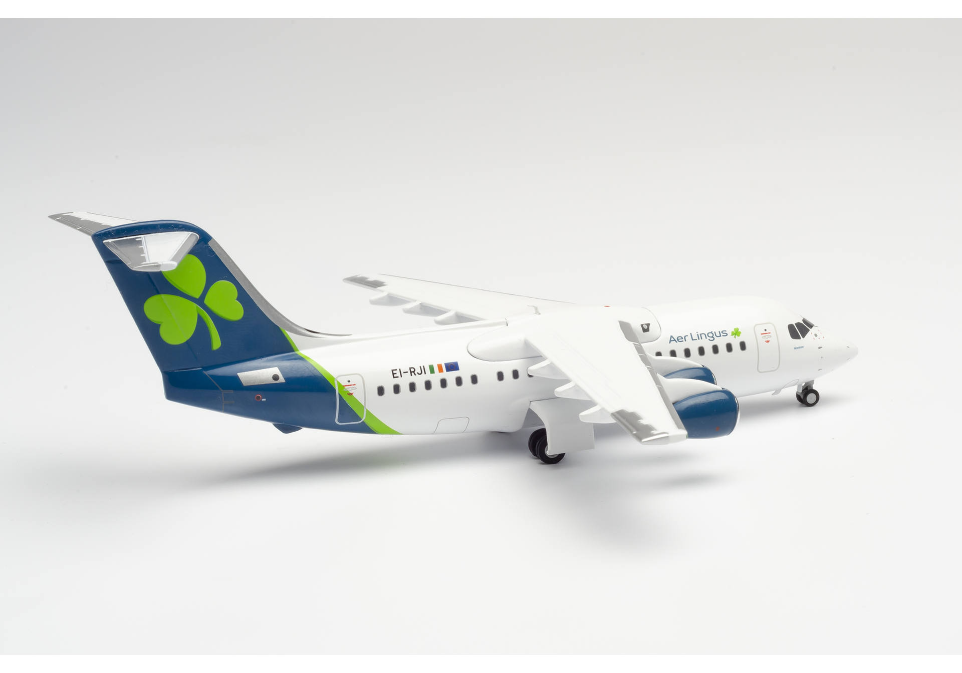 Aer Lingus Avro RJ85 "St.Modwena/Moninne"
