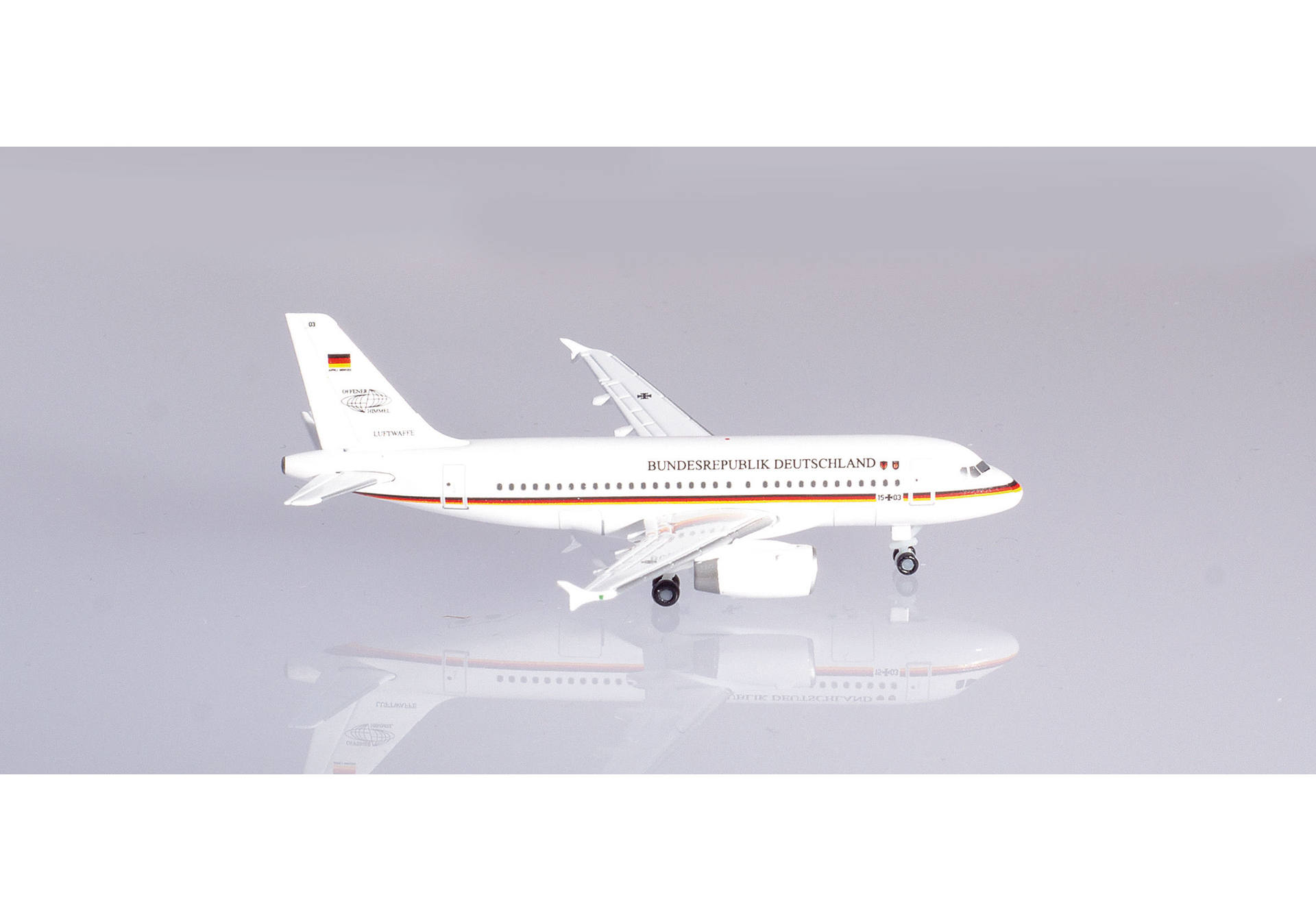 Luftwaffe Flugbereitschaft Airbus A319