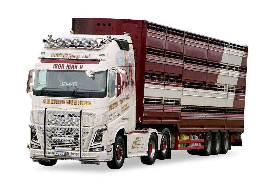 Volvo FH GL 6x2 cattle Transporter semitrailer "Beedie Bros"