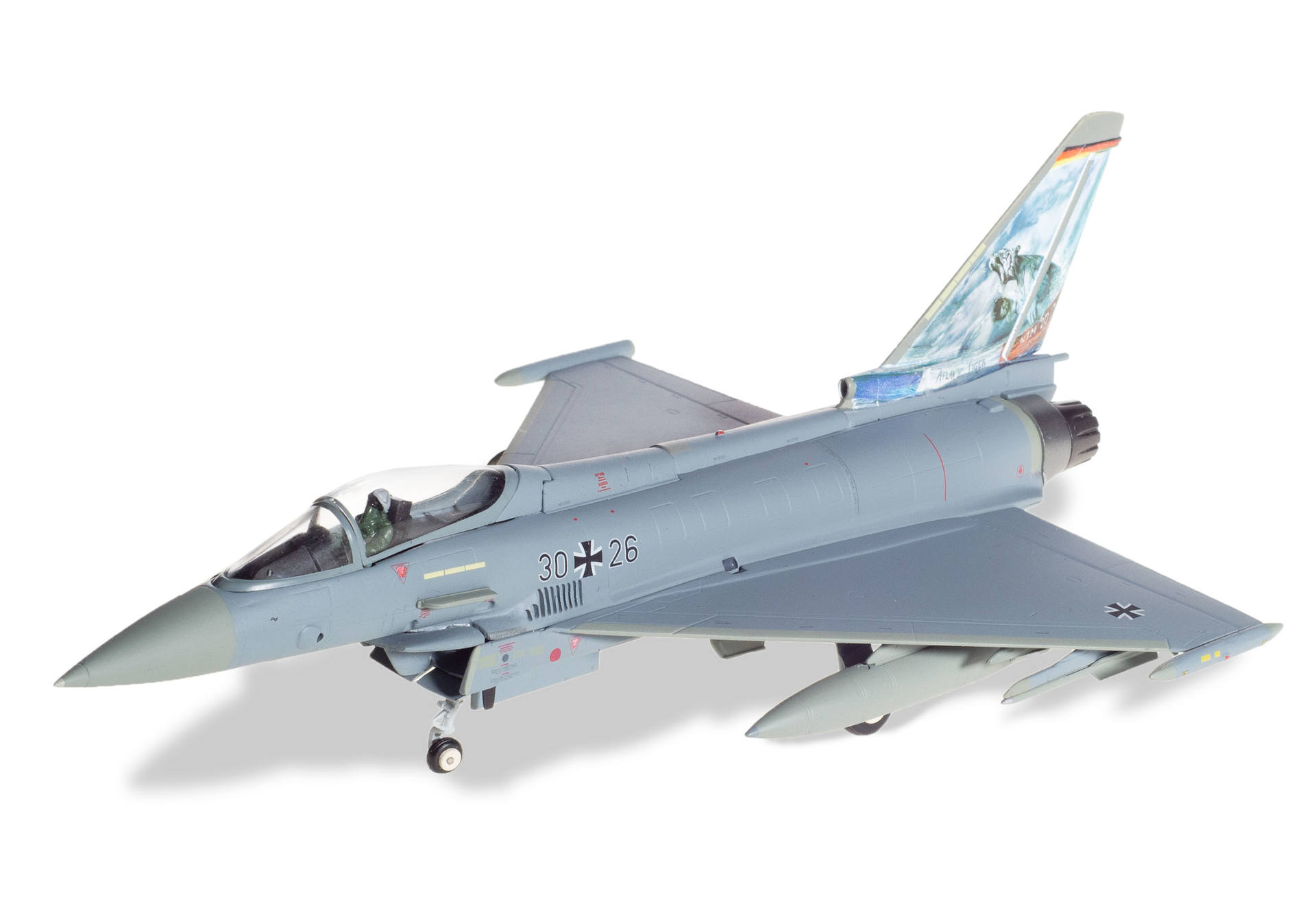Luftwaffe Eurofighter Typhoon - TaktLwG 74 "Bavarian Tigers" - NATO Tiger Meet 2017 "Atlantic Tiger" - 3026