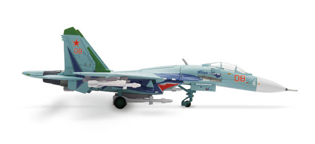 Russian Air Force Sukhoi SU-27 "Lipetsk-Shark"