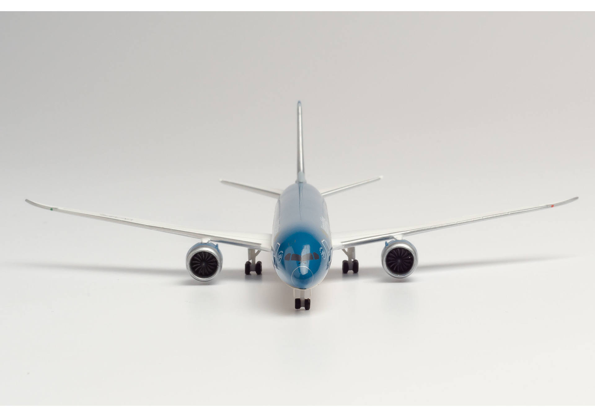 Vietnam Airlines Boeing 787-10 Dreamliner