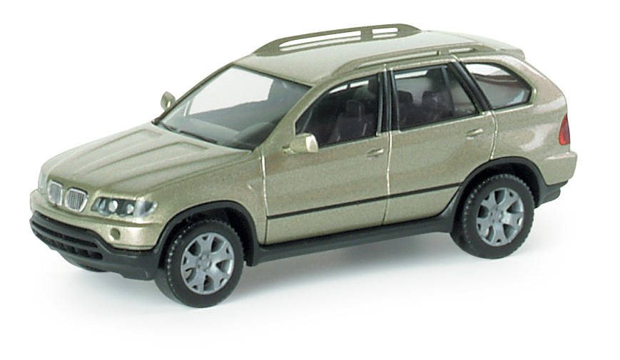 BMW X5, metallic