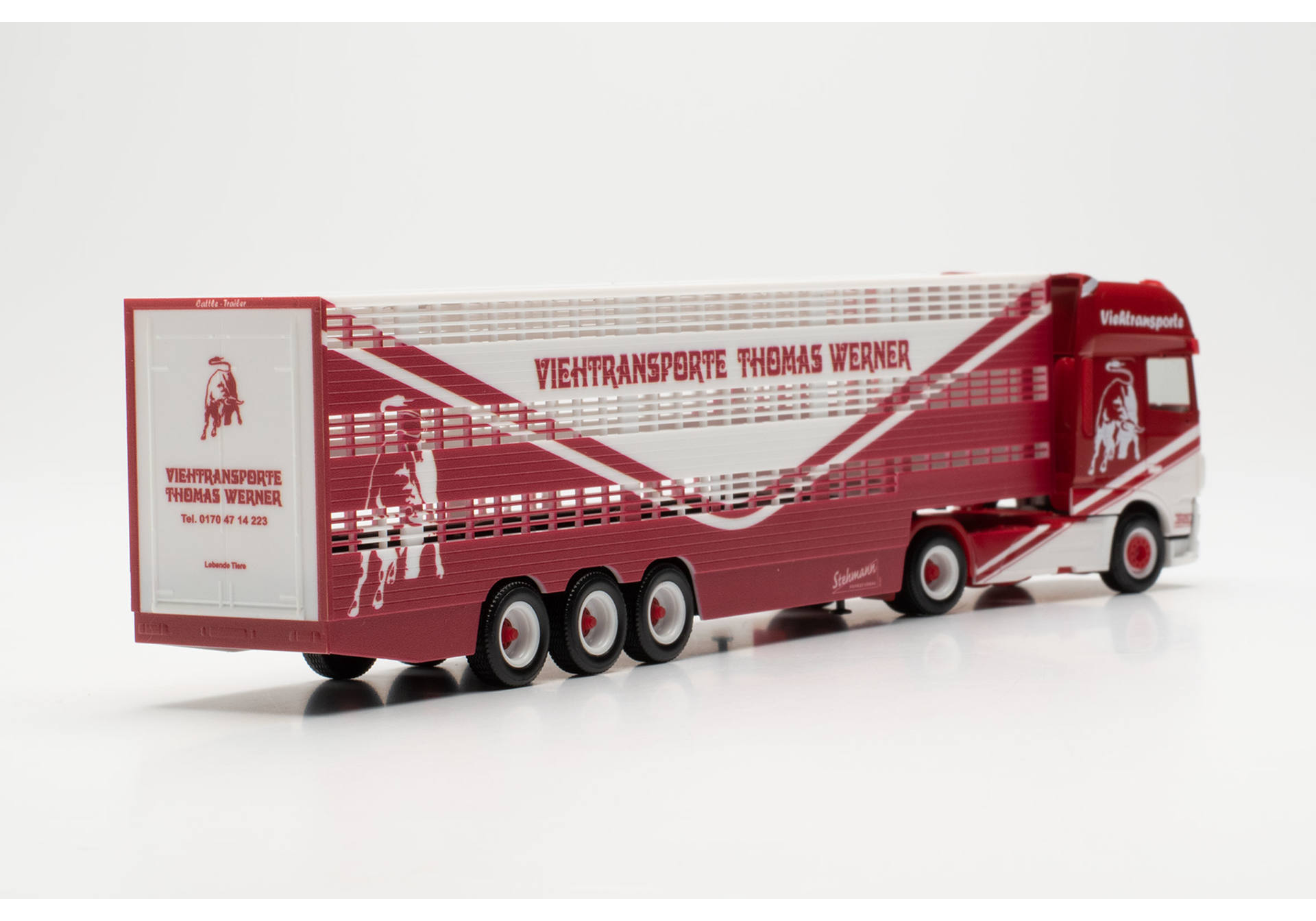 DAF XF SSC Viehtransporter-Sattelzug "Thomas Werner" (Mecklenburg-Vorpommern/Woldegk)