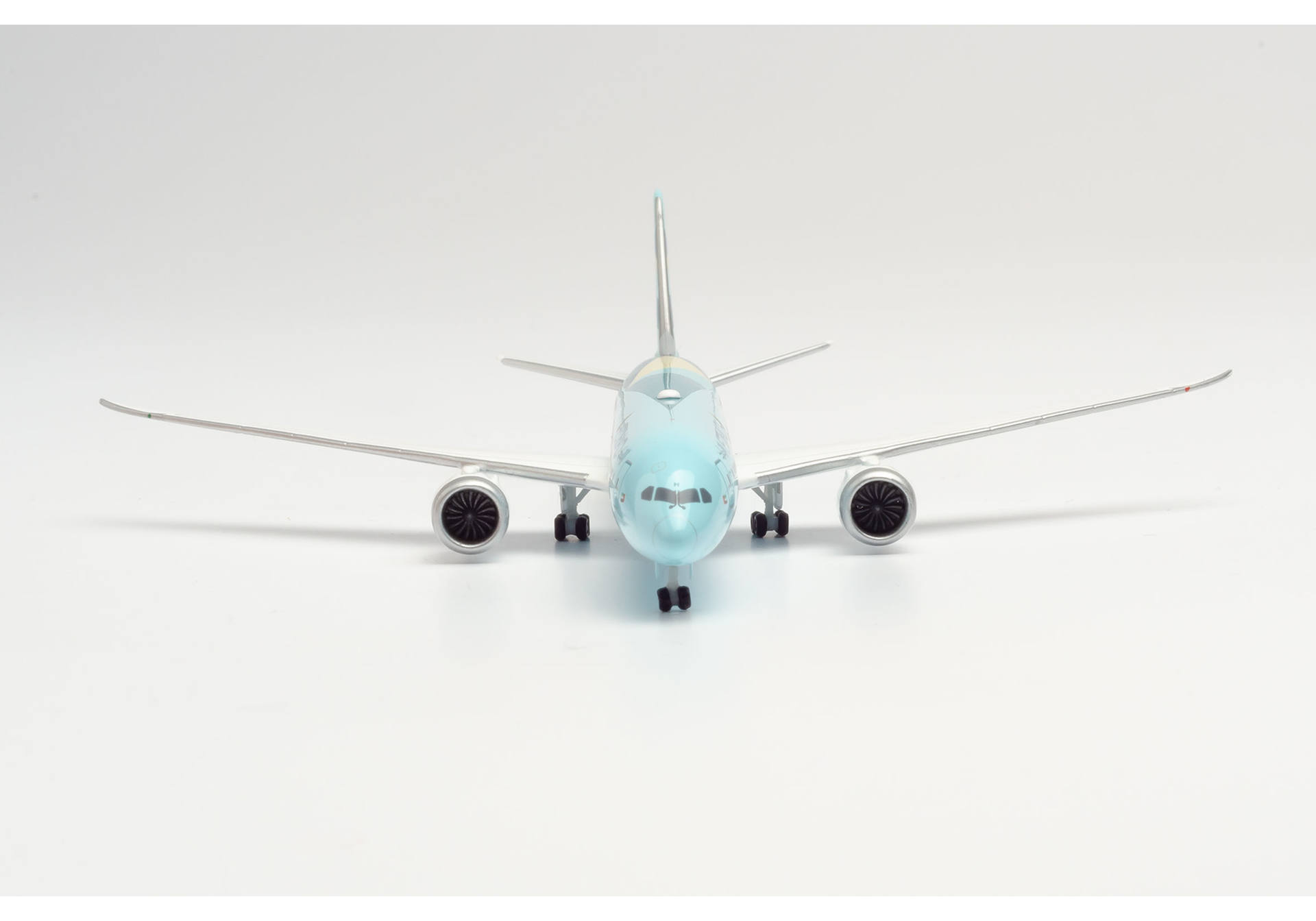Etihad Airways "Greenliner" Beoing 787-10 Dreamliner