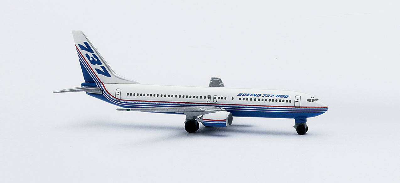 Boeing Fleet Boeing 737-800