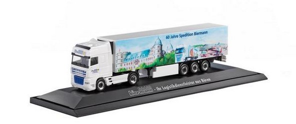 DAF XF cold case saddle train
