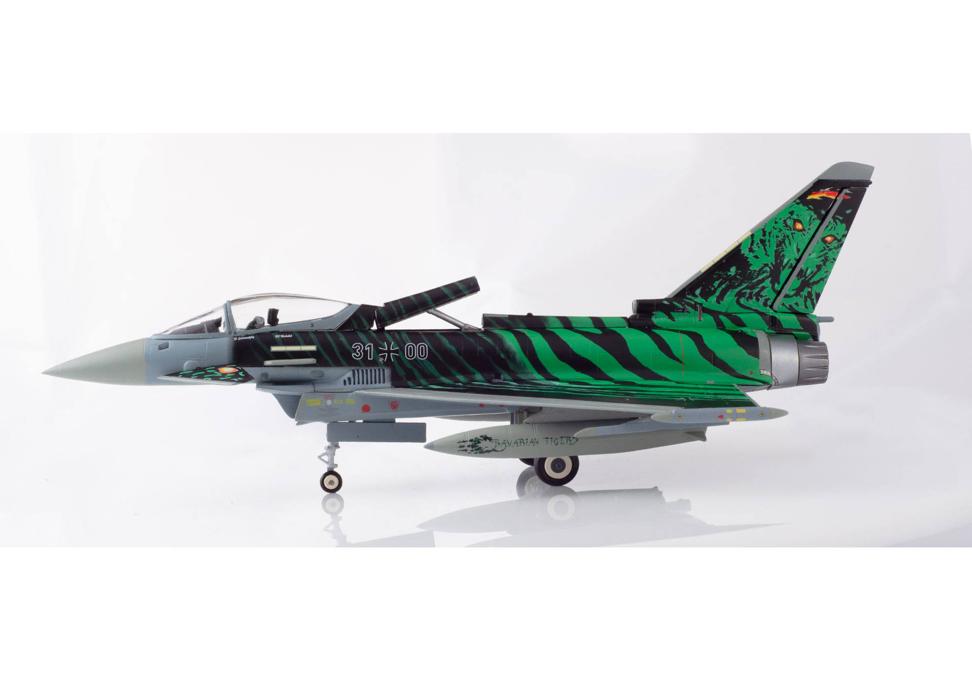 Luftwaffe Eurofighter Typhoon - TaktLwG 74 NATO Tiger Meet 2018, Poznan-Krzeslny Air Base - “Ghost Tiger” – 31+00
