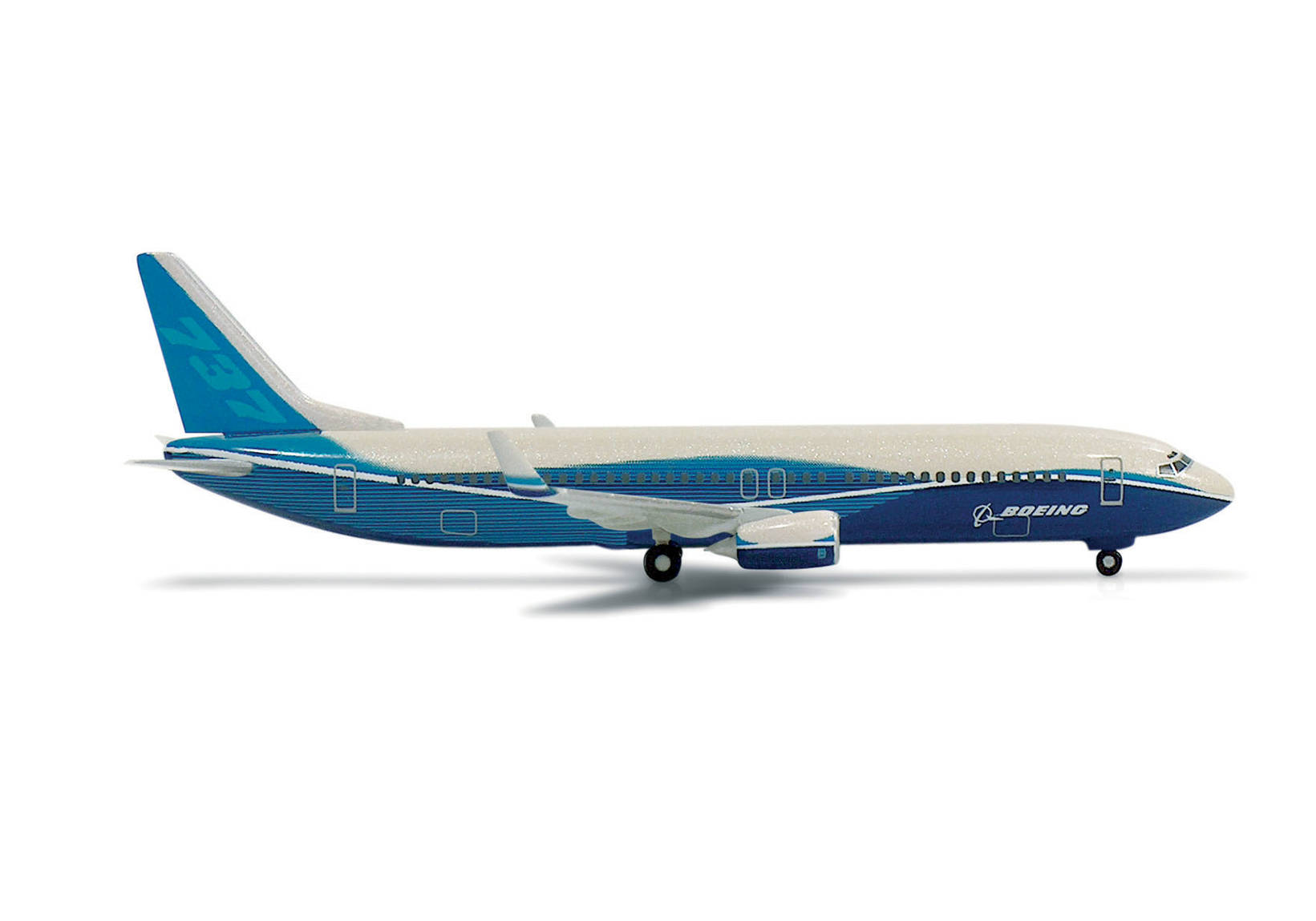 Boeing Fleet Boeing 737-800 "Dreamliner"