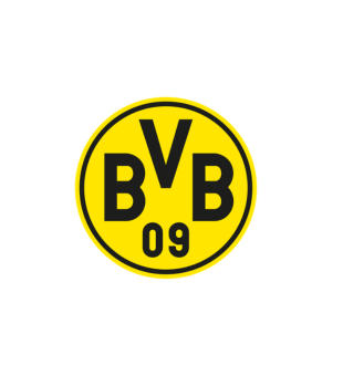 soccer badge, team emblem, yellow circle, BVB 09, club logo