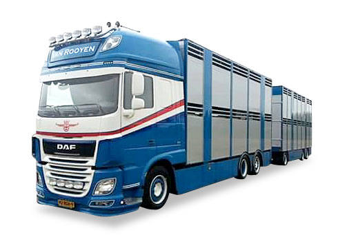 DAF XF SSC Euro 6 Viehtransporter-Hängerzug "Van Rooyen"