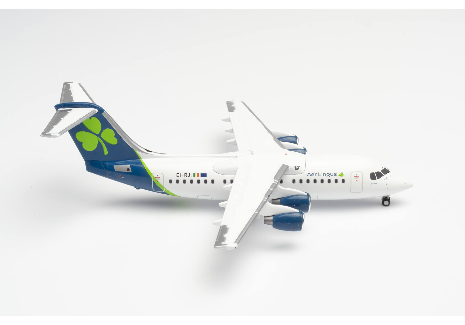 Aer Lingus Avro RJ85 "St.Modwena/Moninne"