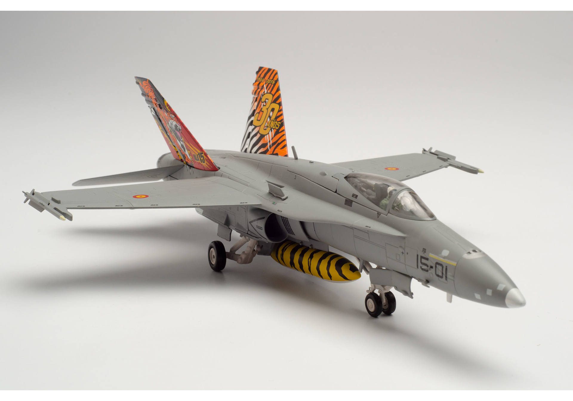 Spanish Air Force McDonnell Douglas EF-18A (F/A-18A) Hornet - Ala 15 (15th Wing), Zaragoza Air Base „Tiger Meet“